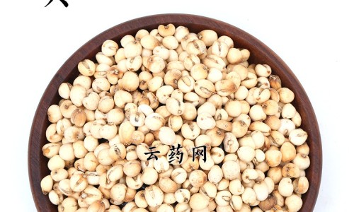 庄红花的功效网 - 为你提供红花的功功效与主治、红花的药用功效与主治是什么